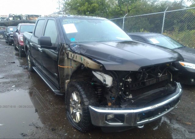 1FTEW1EG3FKE01975 2015 FORD F-150
