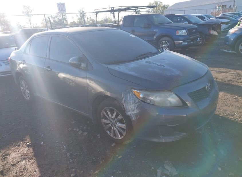 2009 TOYOTA COROLLA LE photo