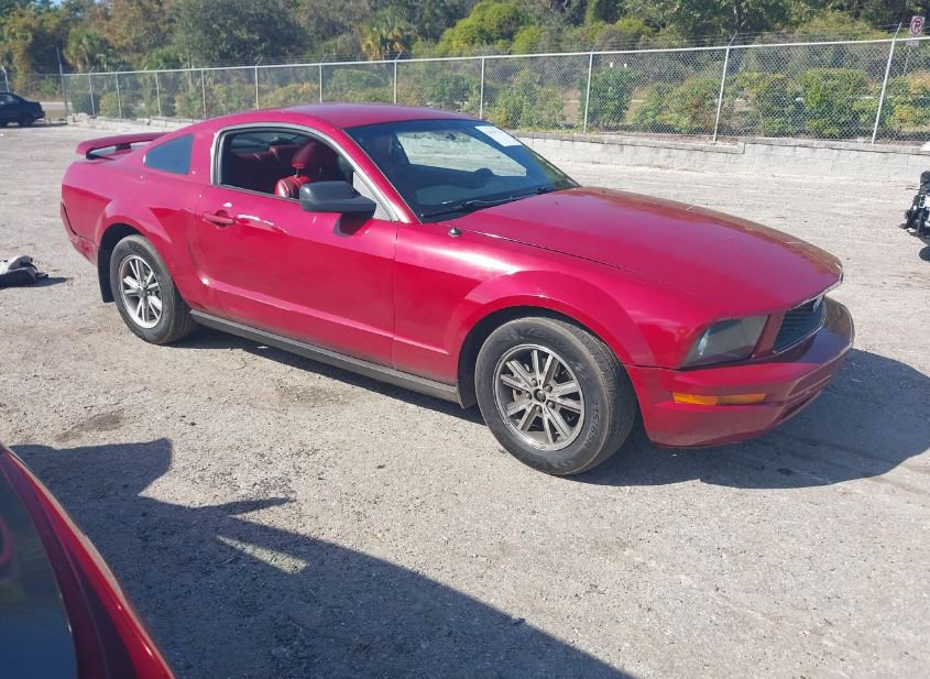 2005 FORD MUSTANG photo
