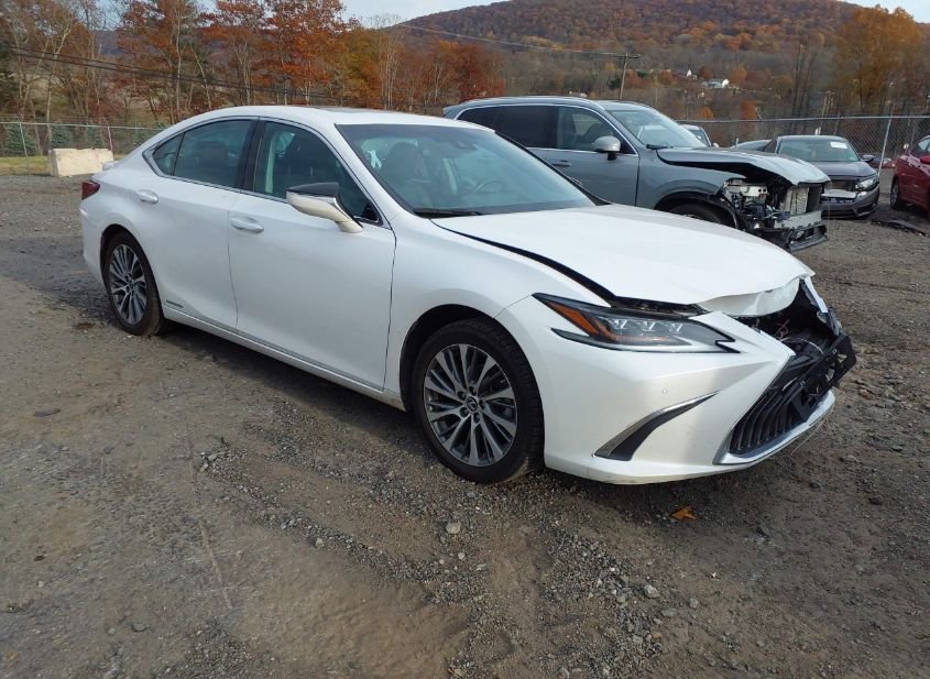 2020 LEXUS ES 300H photo