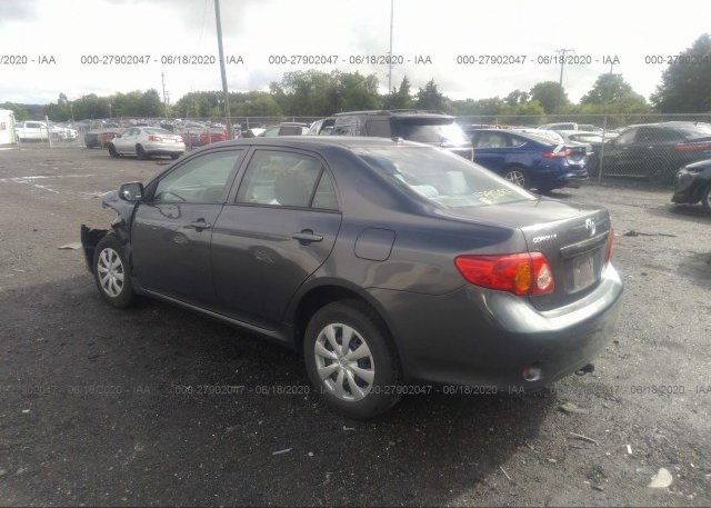 купить 2010 Toyota COROLLA 2T1BU4EE3AC502341
