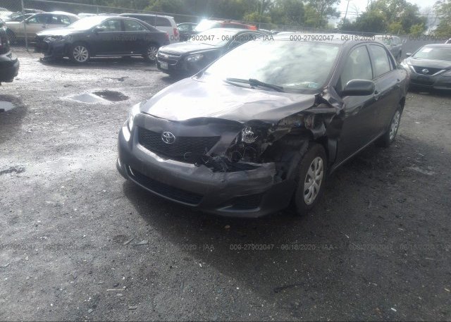 2T1BU4EE3AC502341 2010 Toyota COROLLA