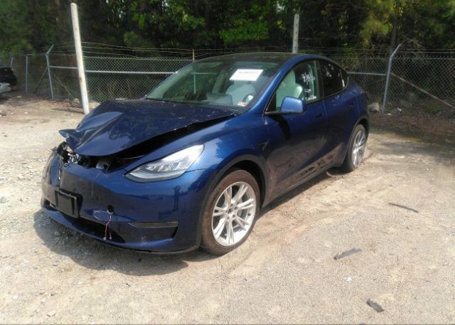 2021 TESLA MODEL Y(VIN: 5YJYGDEEXMF075984