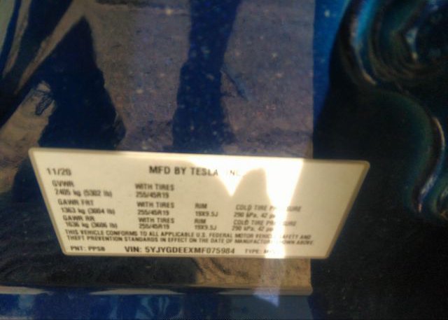2021 TESLA MODEL Y(VIN: 5YJYGDEEXMF075984