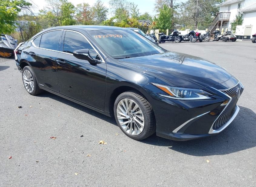 2021 LEXUS ES 300H LUXURY photo