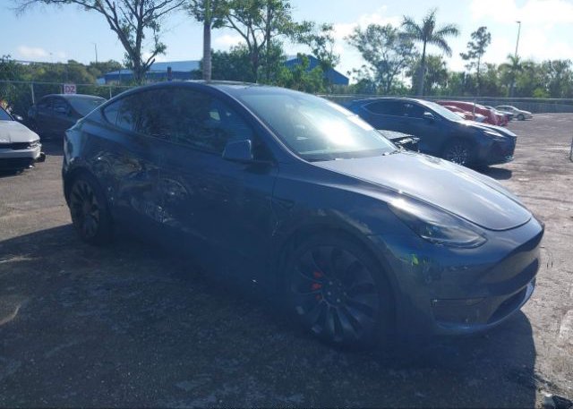 2022 TESLA MODEL Y (VIN: 7SAYGDEF8NF374550)