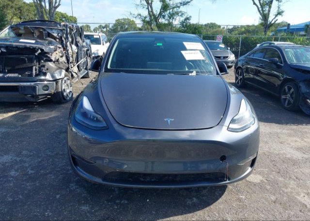 2022 TESLA MODEL Y(VIN: 7SAYGDEF8NF374550