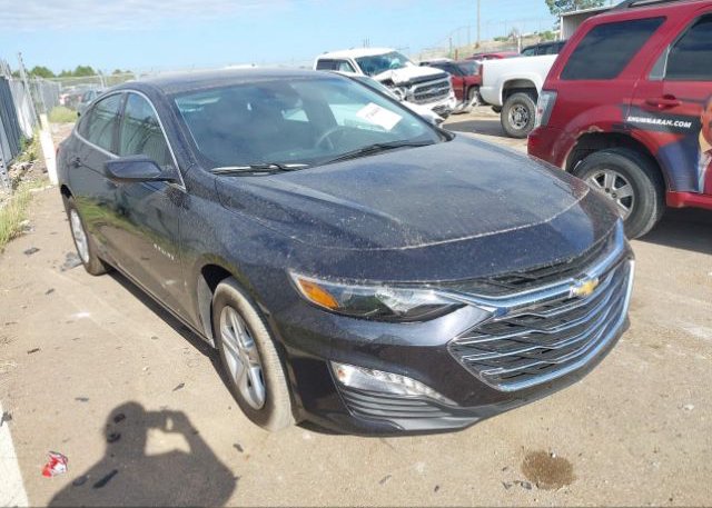 2023 CHEVROLET MALIBU (VIN: 1G1ZD5STXPF211173)