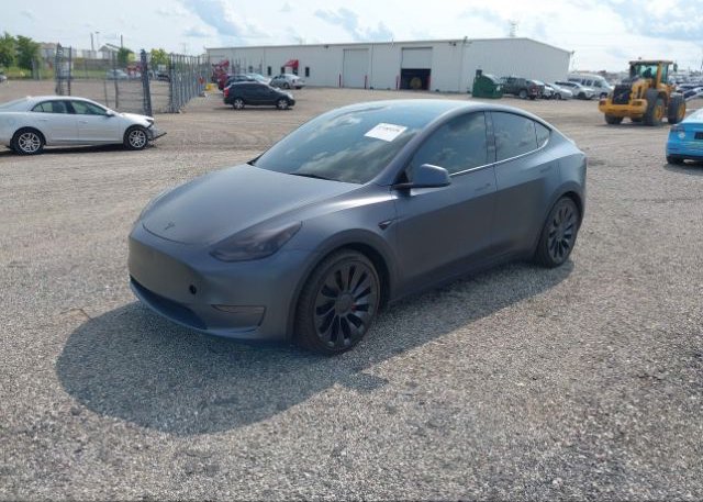 2023 TESLA MODEL Y(VIN: 7SAYGDEF8PF710619