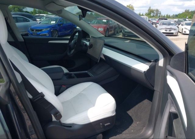 2023 TESLA MODEL Y(VIN: 7SAYGDEF8PF710619