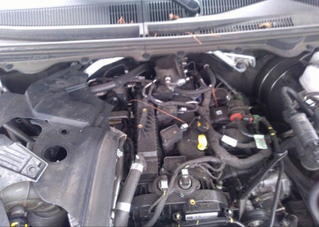 2021 FORD RANGER(VIN: 1FTER1FH3MLD45607
