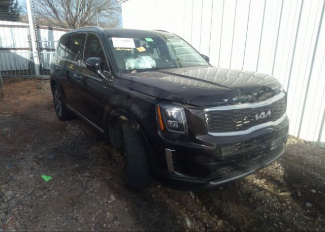 2022 KIA TELLURIDE (VIN: 5XYP34HC1NG226335)