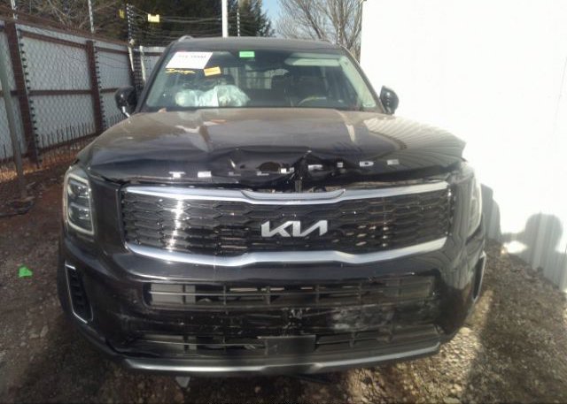 2022 KIA TELLURIDE(VIN: 5XYP34HC1NG226335