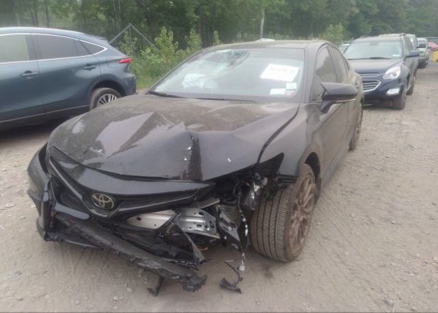 2023 TOYOTA CAMRY(VIN: 4T1G11BK8PU092599