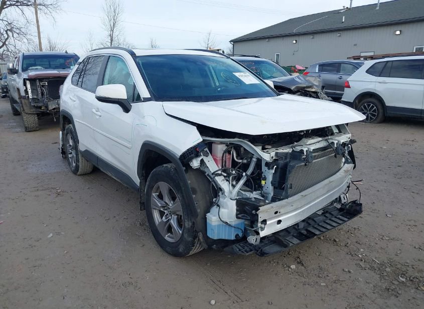 2022 TOYOTA RAV4 XLE photo