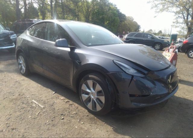 2023 TESLA MODEL Y (VIN: 7SAYGDEE8PA042454)