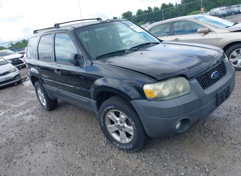 2007 FORD ESCAPE XLT/XLT SPORT photo