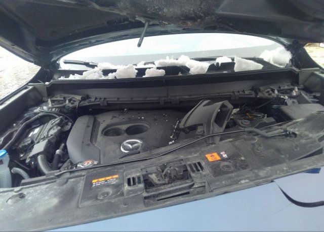 2022 MAZDA CX-9(VIN: JM3TCBAYXN0622785