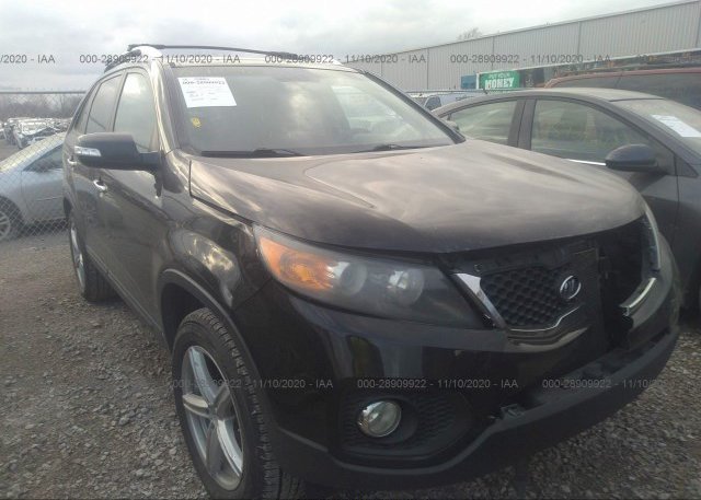 5XYKU4A28BG181642 2011 KIA SORENTO