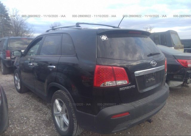 купить 2011 KIA SORENTO 5XYKU4A28BG181642
