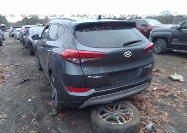 купить 2017 HYUNDAI TUCSON KM8J3CA20HU360009