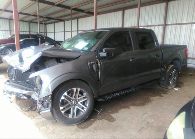 2021 FORD F-150(VIN: 1FTEW1CPXMFA58719
