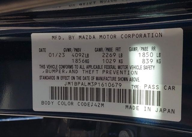 2023 MAZDA MAZDA3 HATCHBACK(VIN: JM1BPALM3P1610679