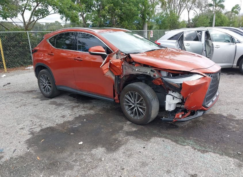 2023 LEXUS NX 350 PREMIUM photo