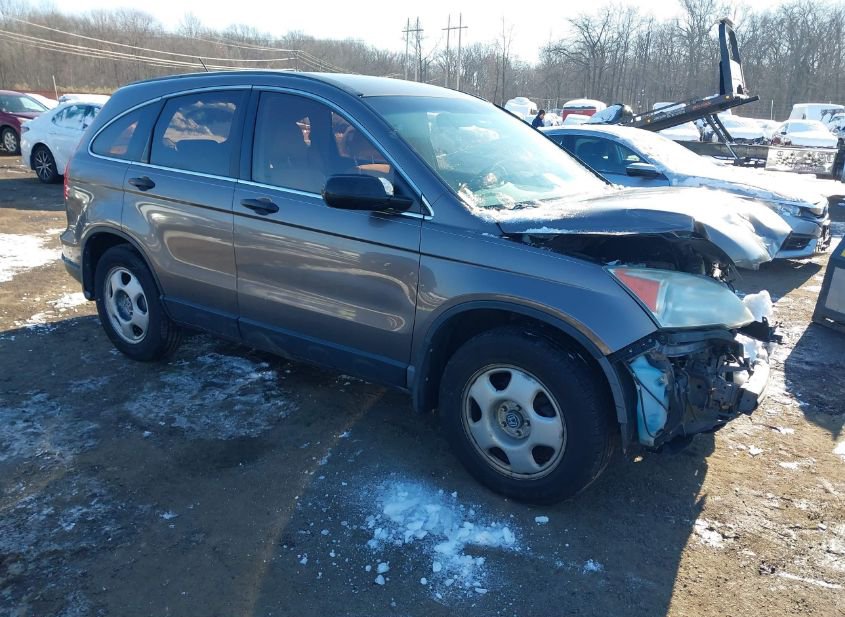2009 HONDA CR-V LX photo
