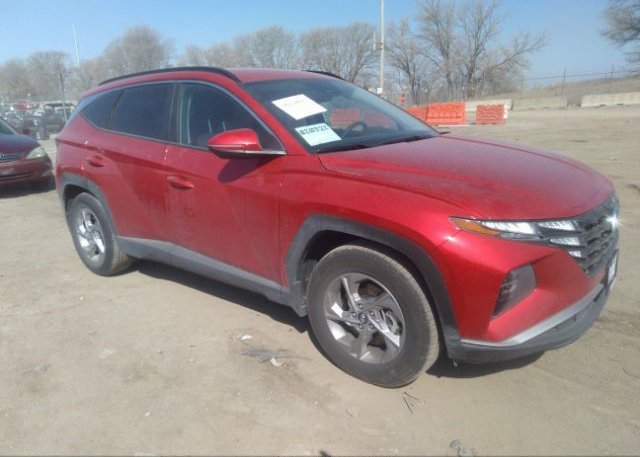 2023 HYUNDAI TUCSON (VIN: 5NMJB3AE1PH184787)
