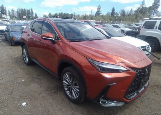 2023 LEXUS NX (VIN: JTJHKCEZ9P2015971)