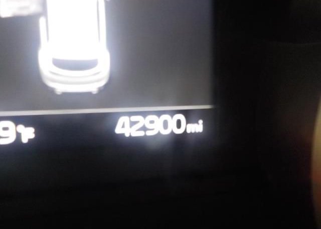 2022 KIA SPORTAGE(VIN: KNDPM3AC1N7004053