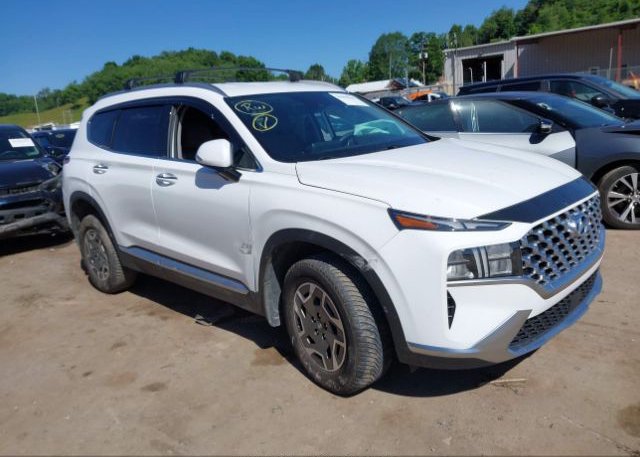 KM8S2DA13NU041977 2022 HYUNDAI SANTA FE HYBRID