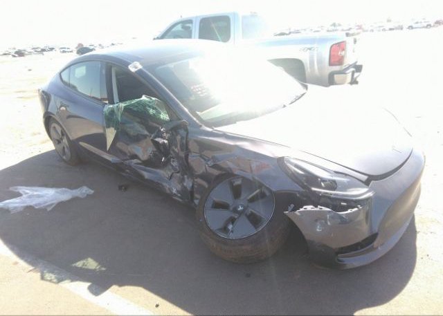 2023 TESLA MODEL 3 (VIN: 5YJ3E1EA5PF499699)