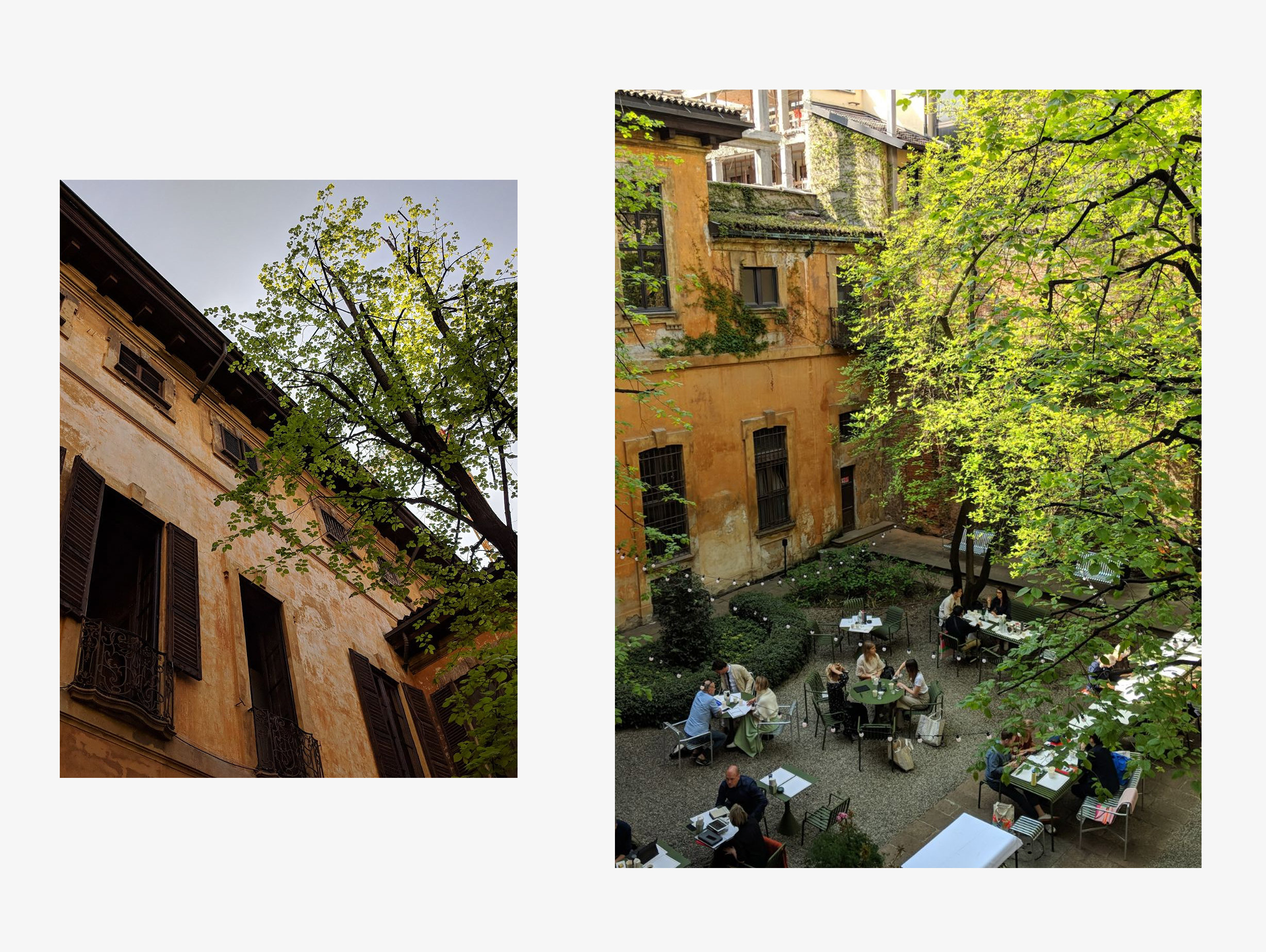 Hay Palazzo Clerici Garden