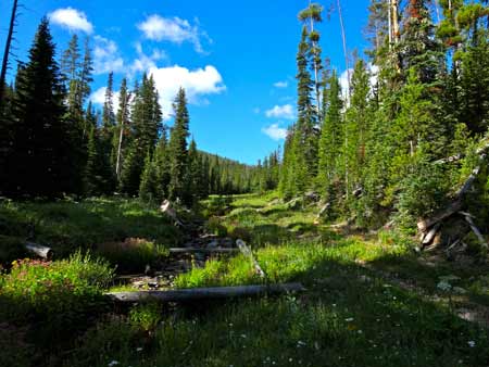 Moose Tracks Trail | Photo: D. Lennon