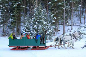 Sleigh Ride | Photo: Lone Mountain Ranch