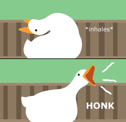 Two part goose meme.

Top frame: Goose with head tilted back.
Caption: *inhales*

Bottom frame: Goose honking
Caption: HONK