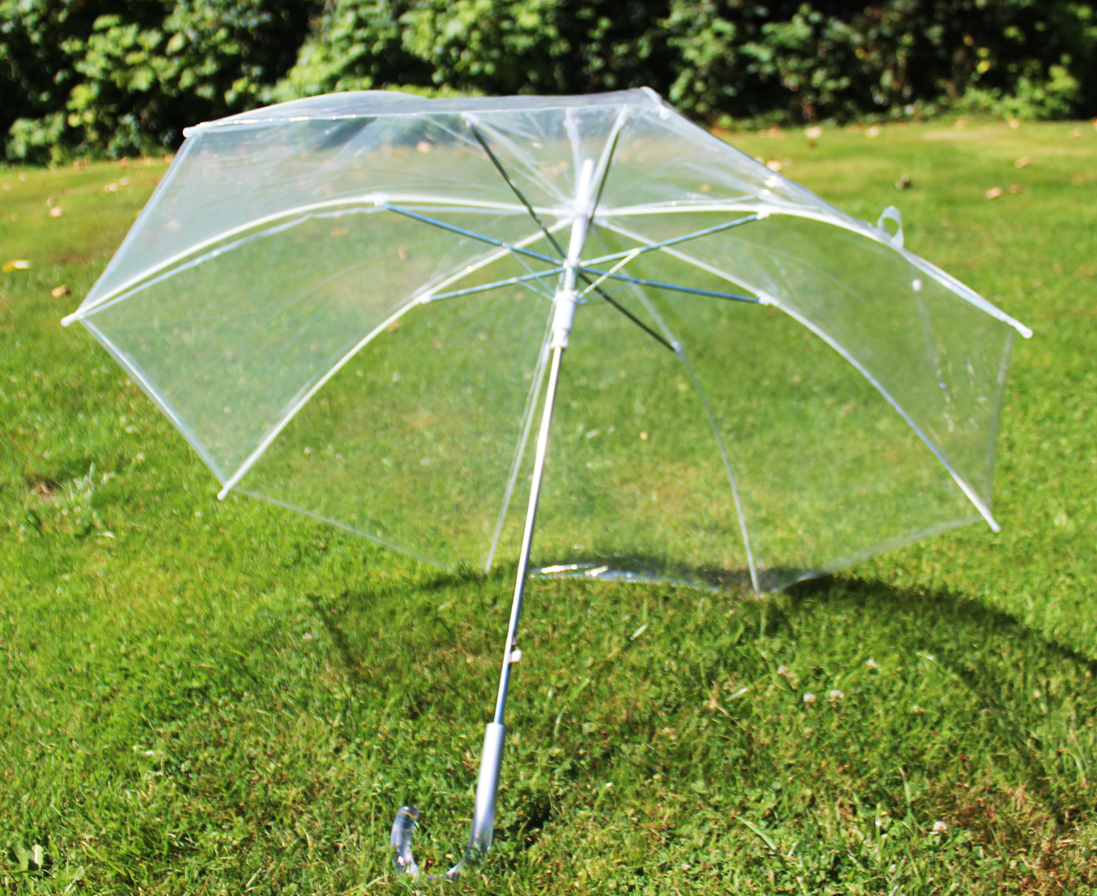 Clear Umbrellas - Cheap Clear Umbrella - Wholesale Clear Umbrellas For