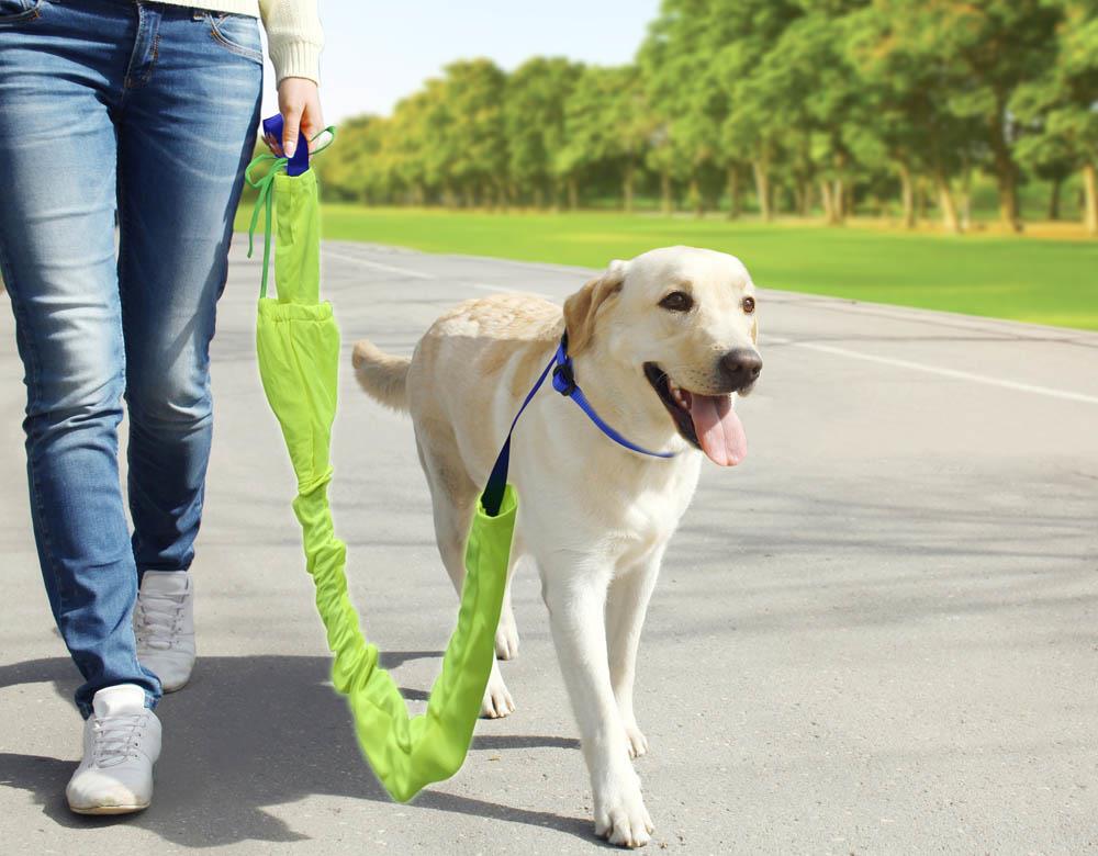 Wholesale Reflective Dog Leash Set Buy Wholesale Pet Gifts