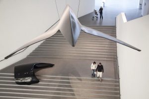 Conferencing helps to collaborate on project
