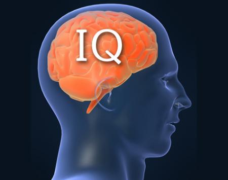 top ten highest iq holders of the world