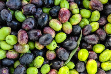 bottling liquid gold