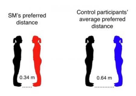 caltech neuroscientists find brain region responsible for our sense