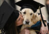 Good Boy! Service Dog Gets Honorary Diploma