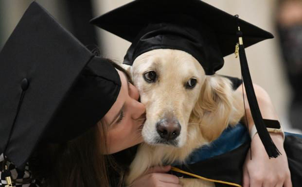 Good Boy! Service Dog Gets Honorary Diploma