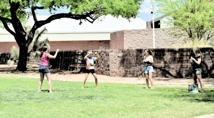 Veterans Appreciation Picnic-2019