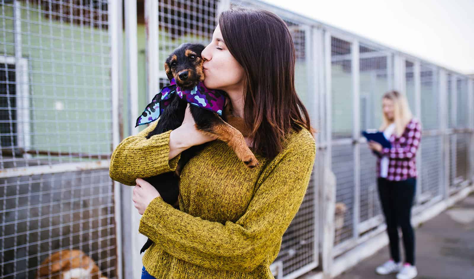 LA Shelter Dogs Might Soon be on a Vegan Diet