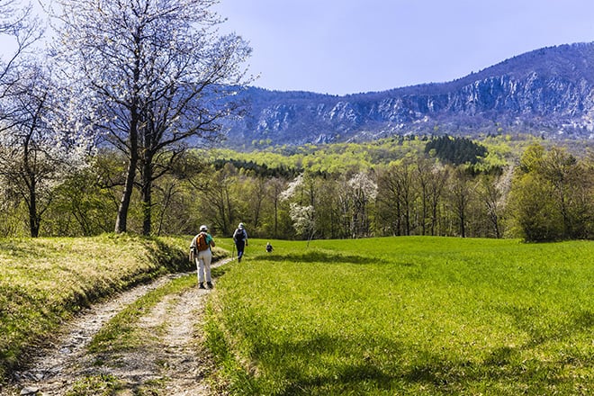 Reduce-Stress-by-Visiting-these-Global-Wellness-Experiences-slovenia