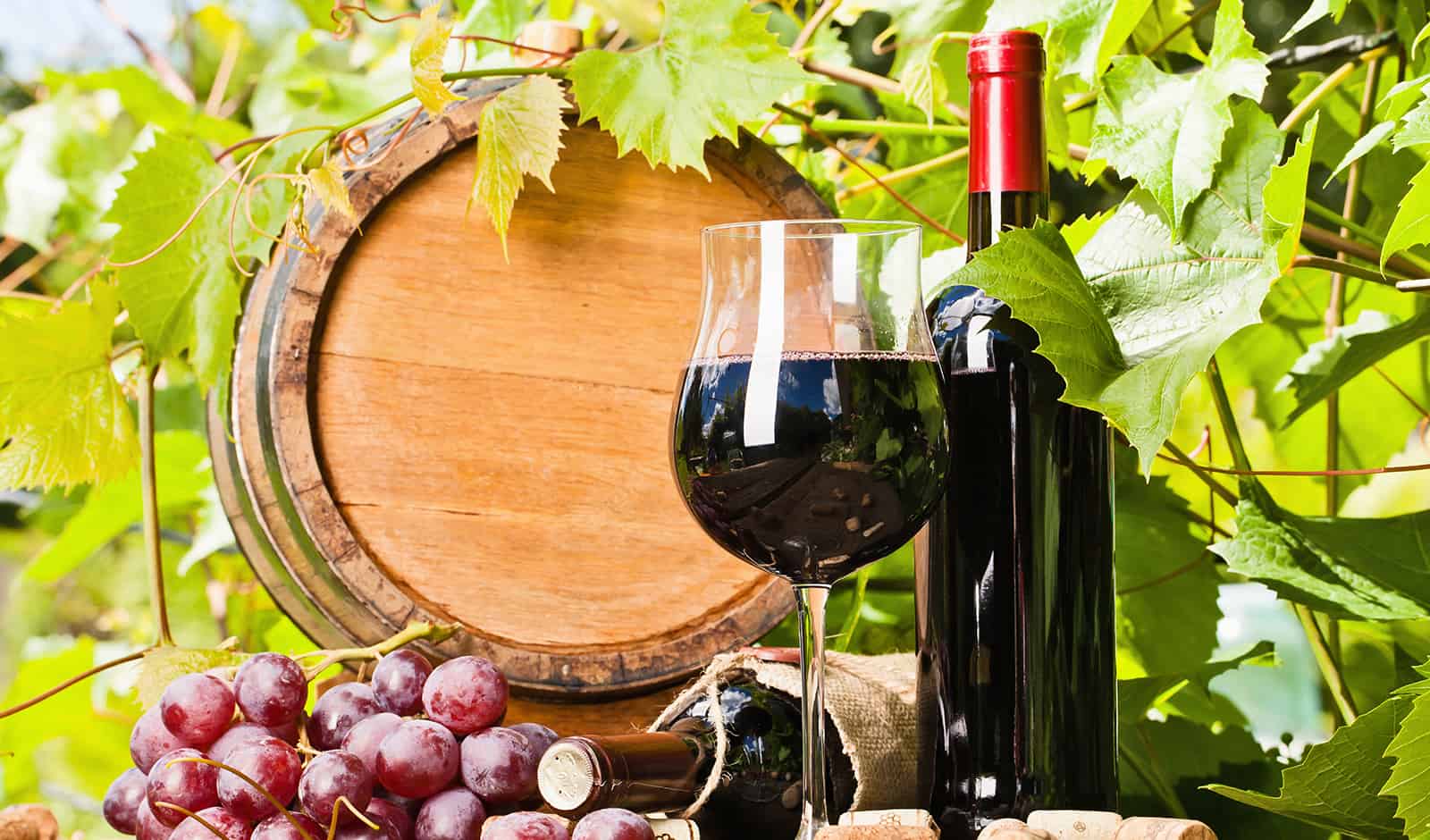 Innovative Tools for Wine Drinkers